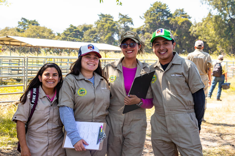 Veterinaria, ejemplo de resistencia en la nueva dictadura de la Usac